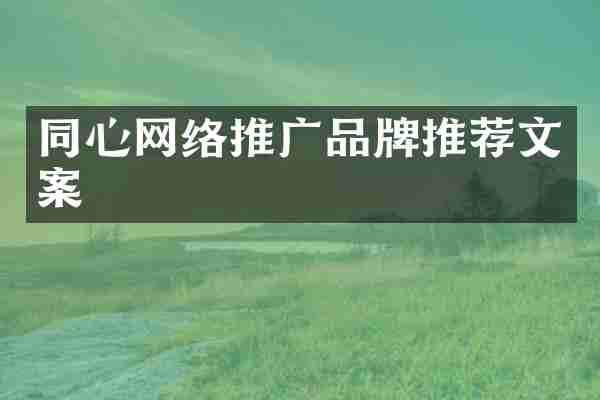 同心网络推广品牌推荐文案