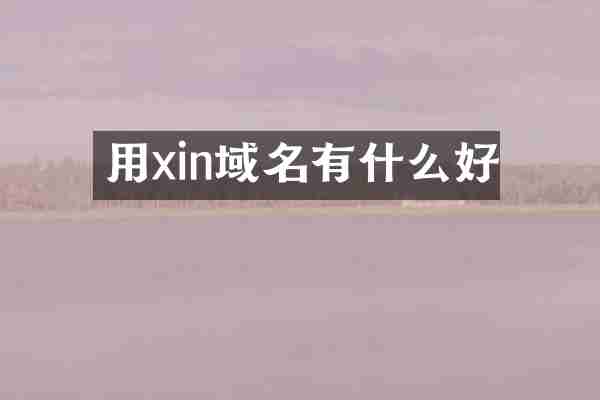 用xin域名有什么好