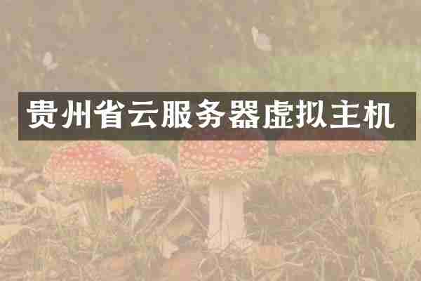 贵州省云服务器虚拟主机