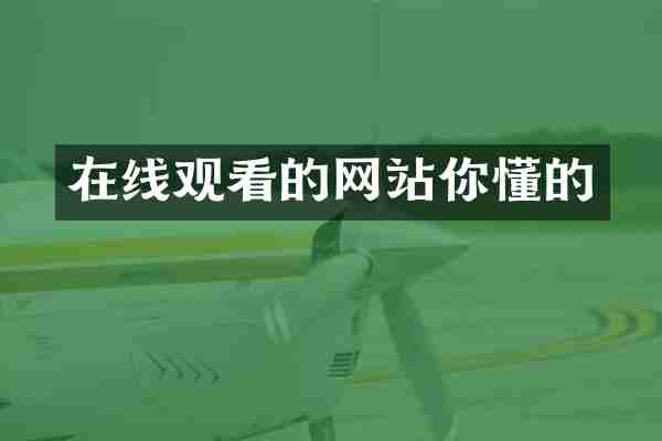 在线观看的网站你懂的