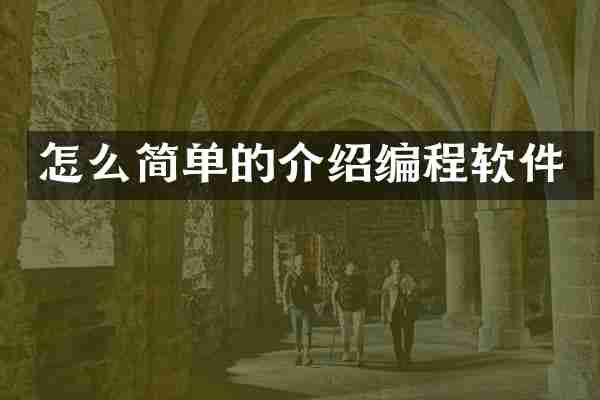 怎么简单的介绍编程软件