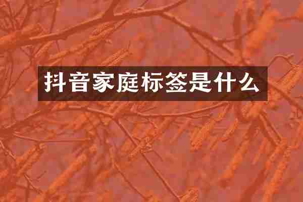 抖音家庭标签是什么