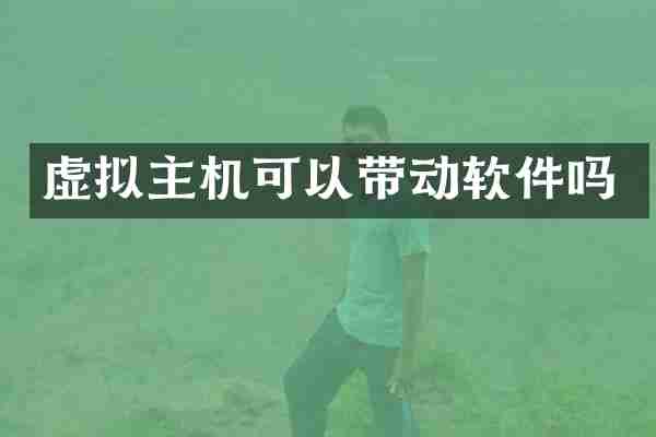 虚拟主机可以带动软件吗
