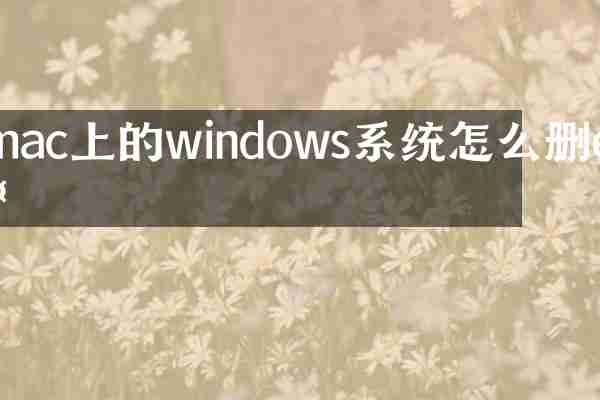 mac上的windows系统怎么删除
