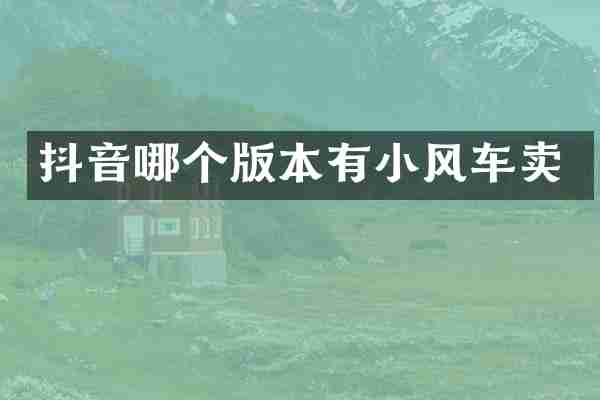 抖音哪个版本有小风车卖