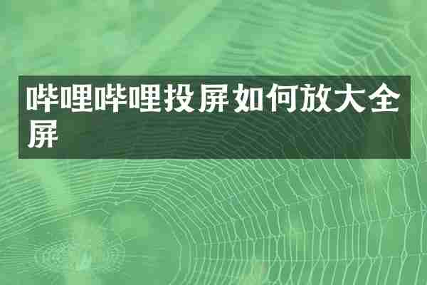 哔哩哔哩投屏如何放大全屏