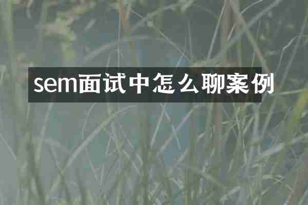 sem面试中怎么聊案例