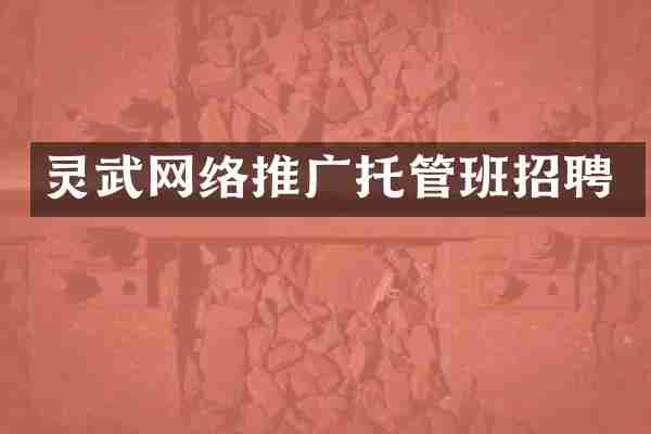 灵武网络推广托管班招聘