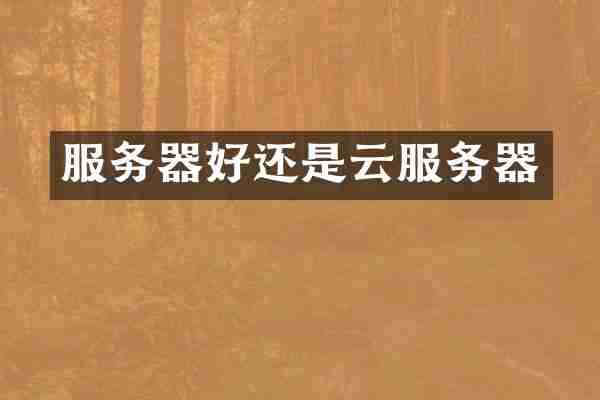 服务器好还是云服务器