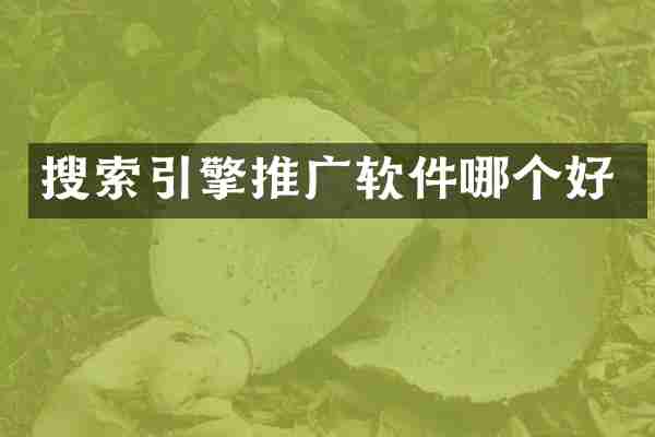 搜索引擎推广软件哪个好