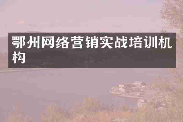 鄂州网络营销实战培训机构