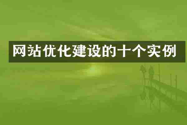 网站优化建设的十个实例