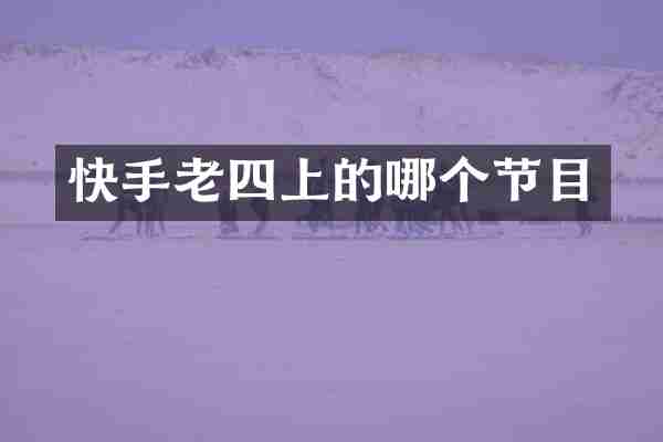 快手老四上的哪个节目