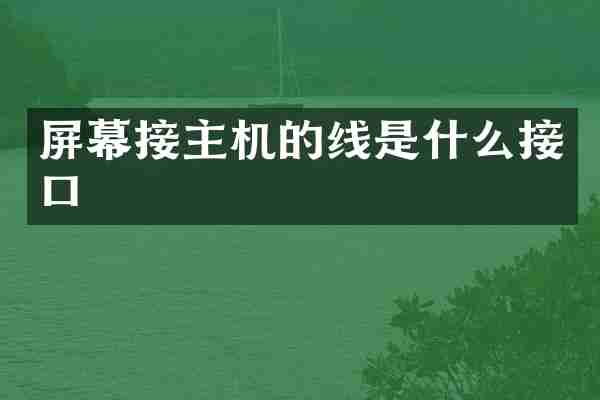 屏幕接主机的线是什么接口