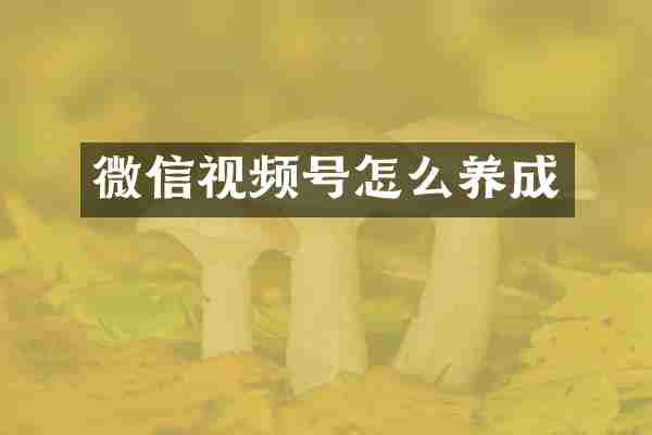 微信视频号怎么养成