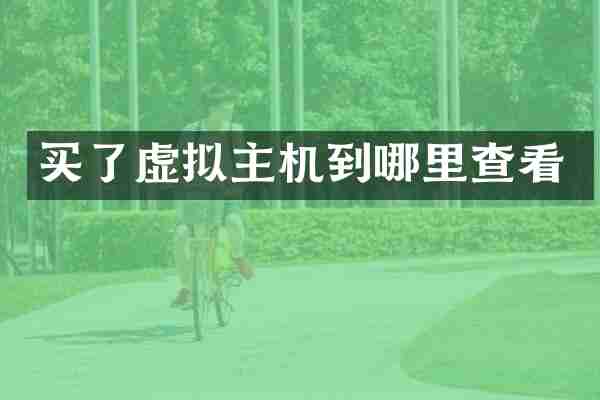 买了虚拟主机到哪里查看