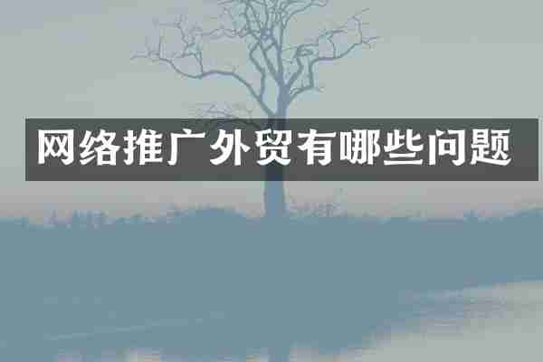 网络推广外贸有哪些问题