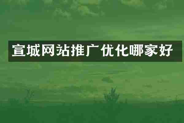 宣城网站推广优化哪家好