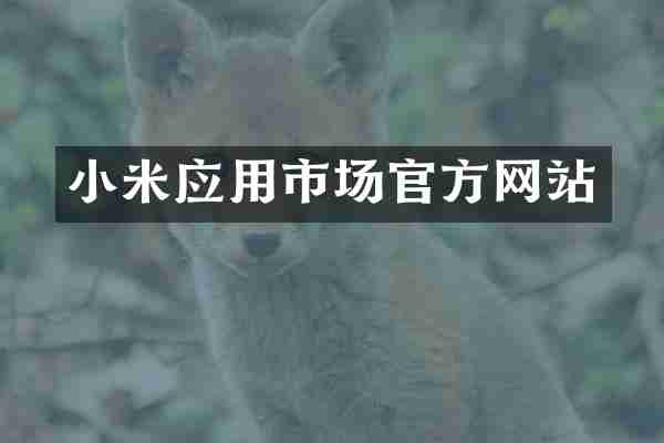 小米应用市场官方网站