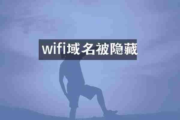 wifi域名被隐藏