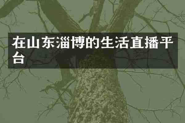 在山东淄博的生活直播平台