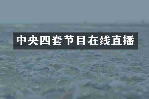 中央四套节目在线直播