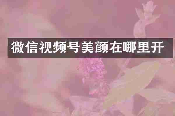 微信视频号美颜在哪里开