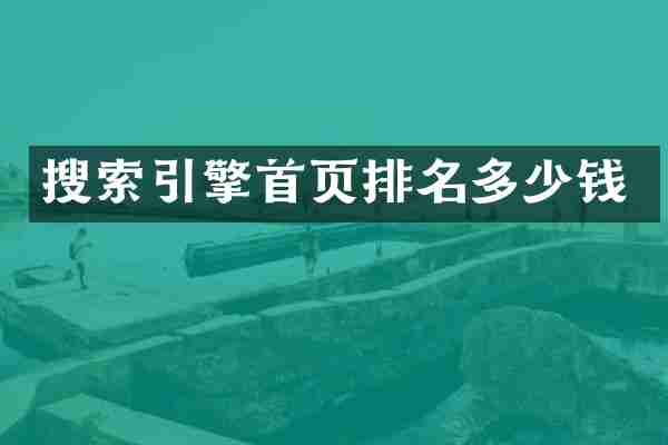 搜索引擎首页排名多少钱