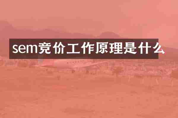 sem竞价工作原理是什么