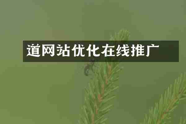 道滘网站优化在线推广