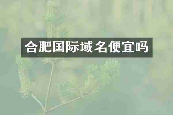 合肥国际域名便宜吗