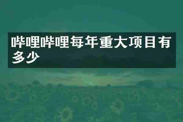 哔哩哔哩每年重大项目有多少