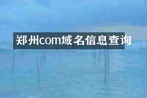 郑州com域名信息查询