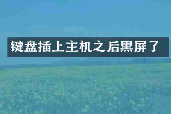键盘插上主机之后黑屏了