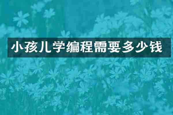 小孩儿学编程需要多少钱