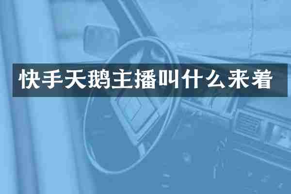 快手天鹅主播叫什么来着