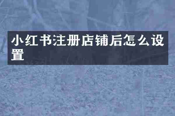 小红书注册店铺后怎么设置