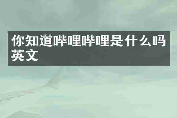 你知道哔哩哔哩是什么吗英文