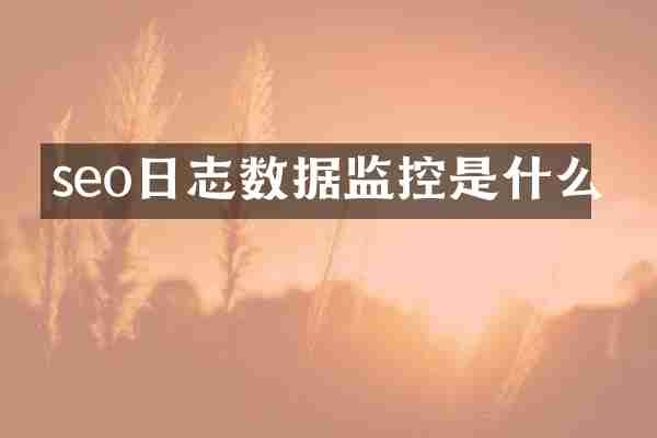 seo日志数据监控是什么