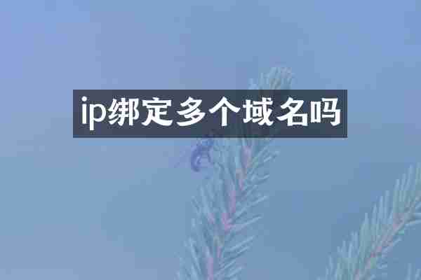 ip绑定多个域名吗