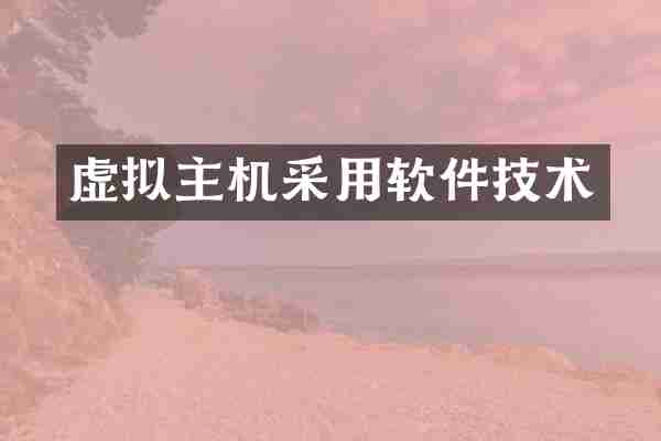 虚拟主机采用软件技术