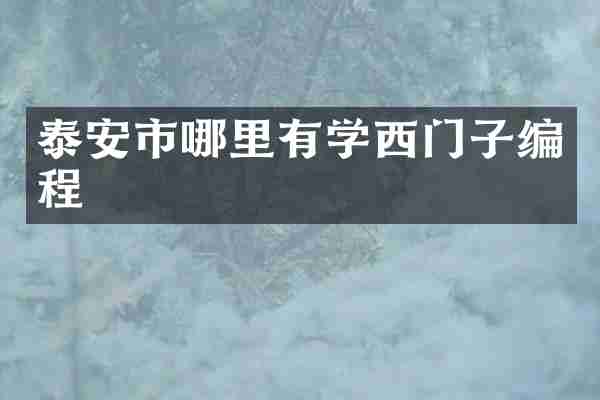 泰安市哪里有学西门子编程
