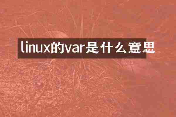 linux的var是什么意思