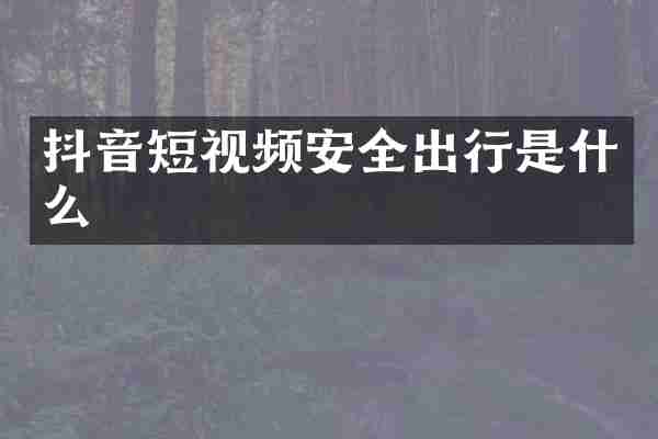 抖音短视频安全出行是什么