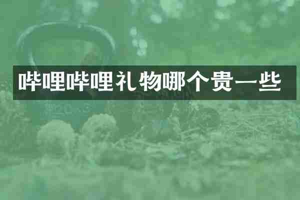 哔哩哔哩礼物哪个贵一些