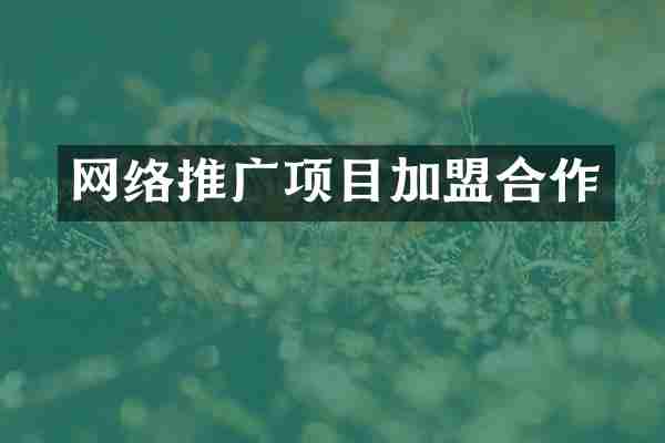 网络推广项目加盟合作