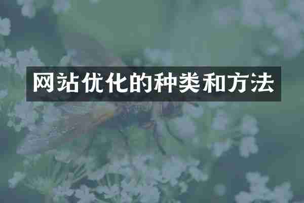 网站优化的种类和方法