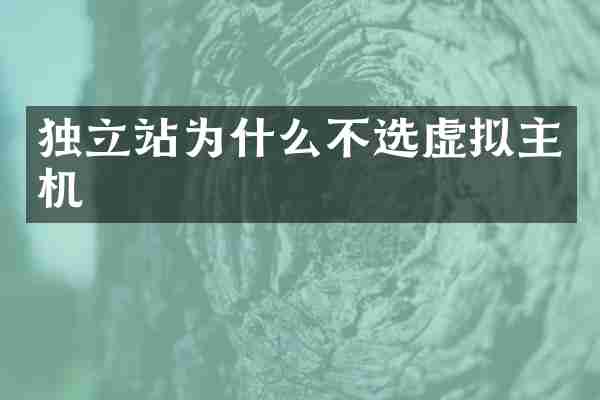 独立站为什么不选虚拟主机