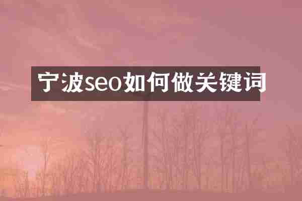 宁波seo如何做关键词