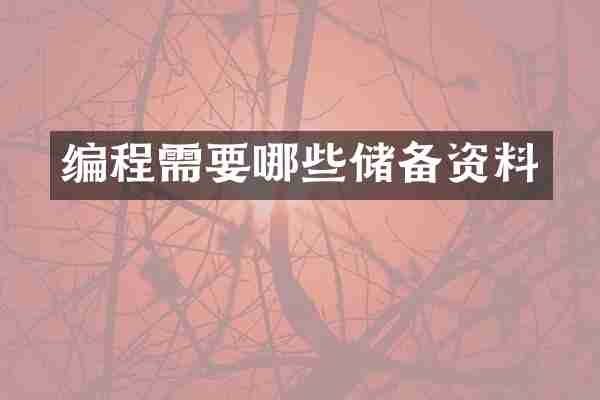 编程需要哪些储备资料
